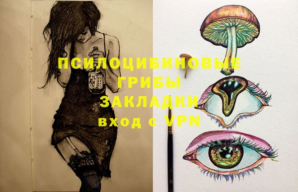 стафф Медногорск