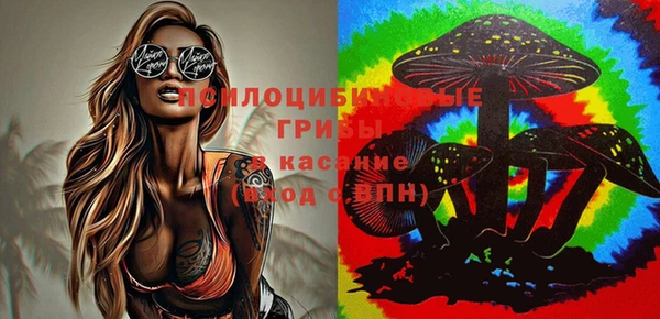 бутират Мегион