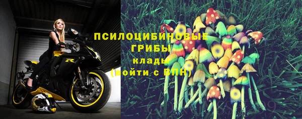 бутират Мегион